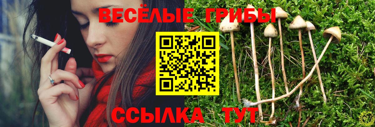 Галлюциногенные грибы Magic Shrooms Омск