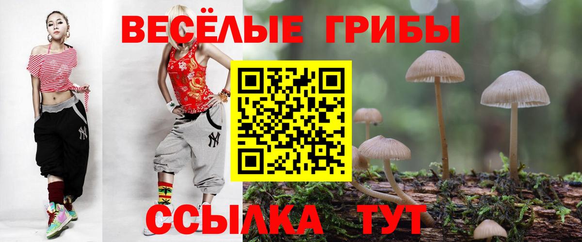 Псилоцибиновые грибы ЛСД  Галлюциногенные грибы мухоморы  Омск  Вход с VPN 